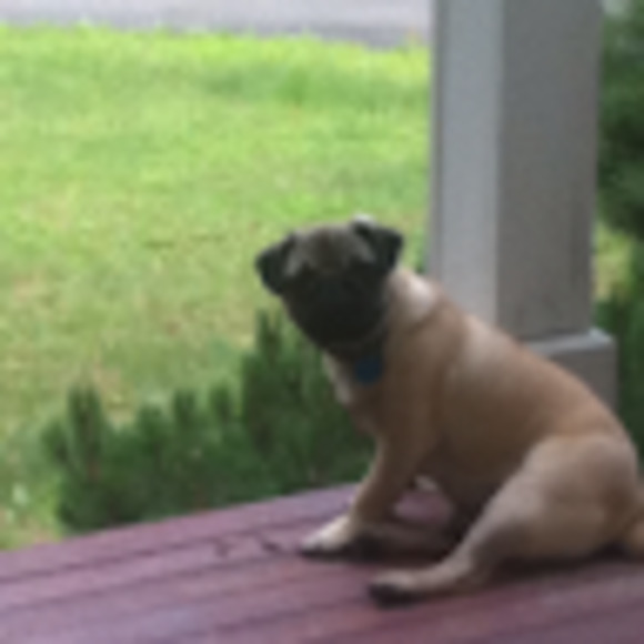 Meet your Posher, Victoria - Picture 1 of 1